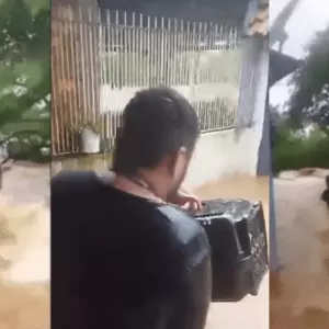 Homem resgata gatos no Rio Grande do Sul