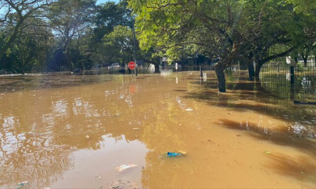 Foto: Prefeitura de Joinville