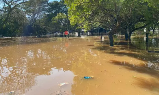 Foto: Prefeitura de Joinville