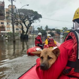 Fotos: CBMSC/Divulgação.