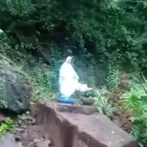 Foto: Reprodução/Redes Sociais.VÍDEO: Imagem de Nossa Senhora permanece intacta após enchente em Bento Gonçalves