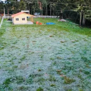 Terça-feira tem amanhecer congelante na Serra de SC