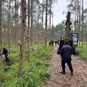 Foto: Polícia Militar/Divulgação 