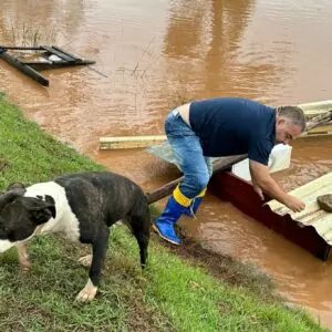 VÍDEO equipe do SBT salva dois cachorros abandonados e presos em enchente no RS