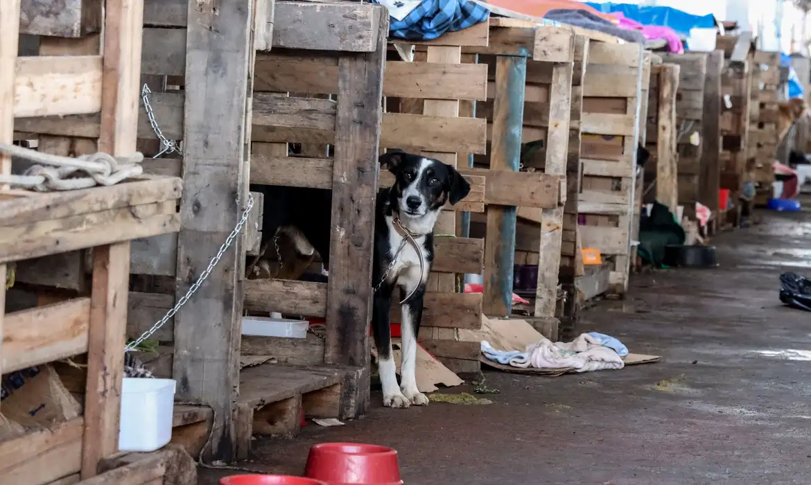 Foto: Rafa Neddermeyer/Agência Brasil.