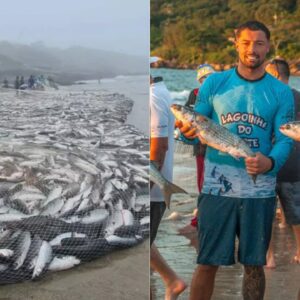 Foto: Pesca da Tainha/Reprodução Instagram