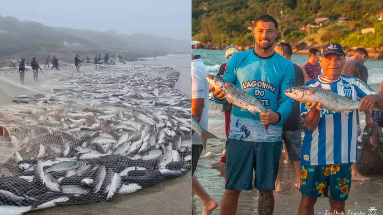 Foto: Pesca da Tainha/Reprodução Instagram