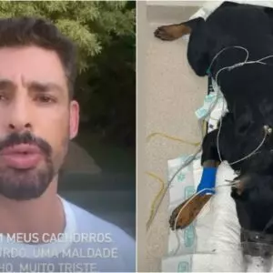 Cauã Reymond chega em casa e encontra cachorros envenenados | Foto: Reprodução/Redes sociais