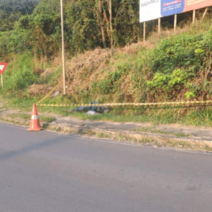 Foto: Polícia Militar/Divulgação.