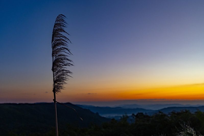 Foto: Ricardo Wolffenbüttel/Secom

