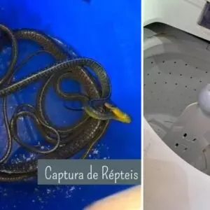 Moradora de SC encontra cobras dentro de máquina de lavar | Foto: Bombeiros Voluntários de Jaguaruna