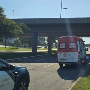 Foto: Guarda Municipal de Florianópolis/Divulgação