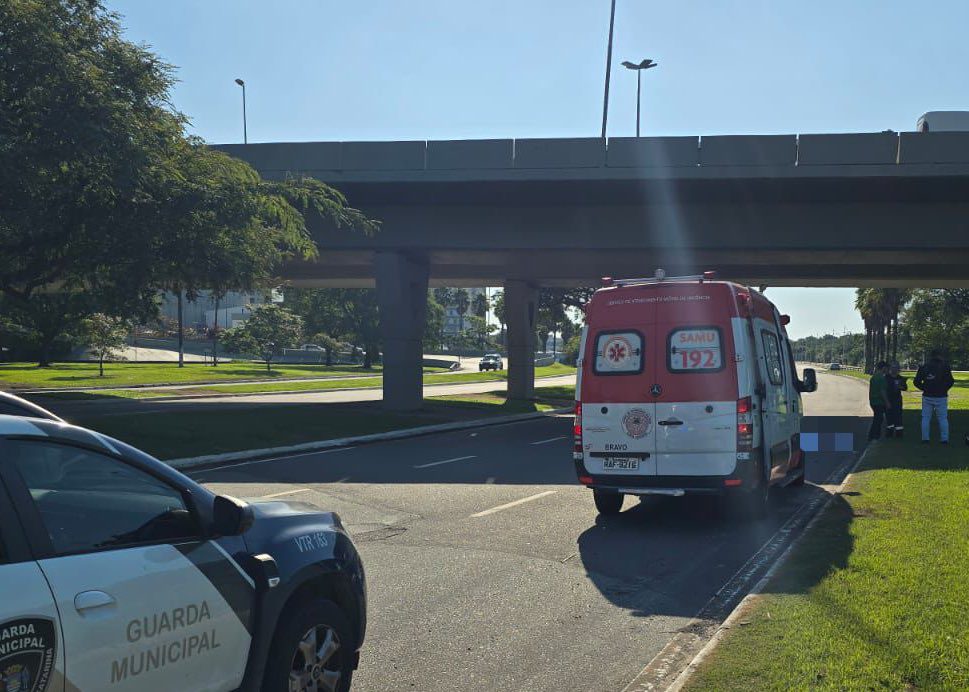 Foto: Guarda Municipal de Florianópolis/Divulgação