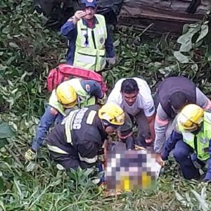 Foto: Corpo de Bombeiros Militar de Santa Catarina (CBMSC) / Reprodução 