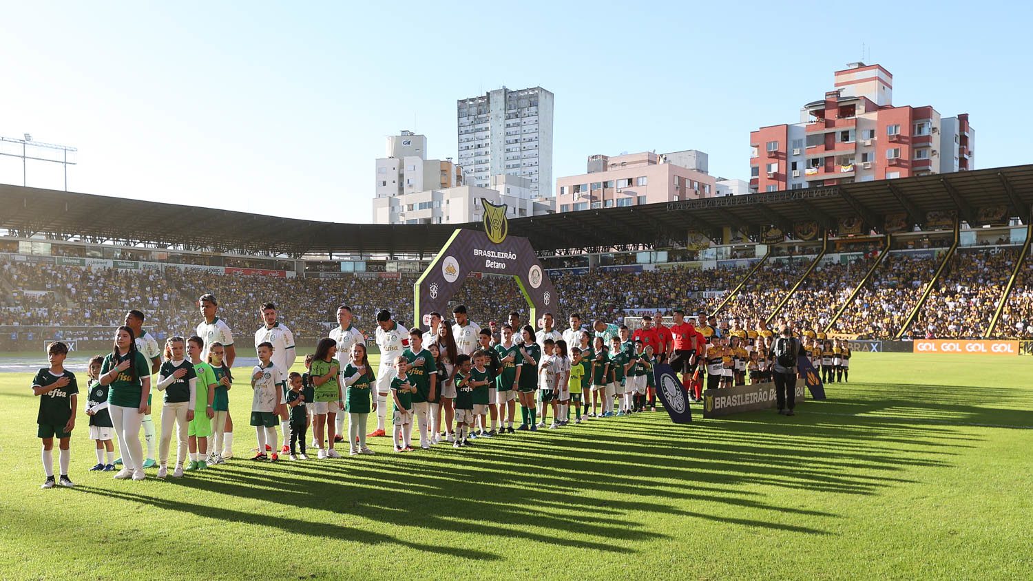 Foto: Cesar Greco/Palmeiras/by Canon)