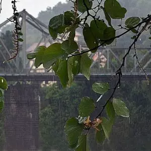 Foto: Eraldo Schnaider / Prefeitura de Blumenau 