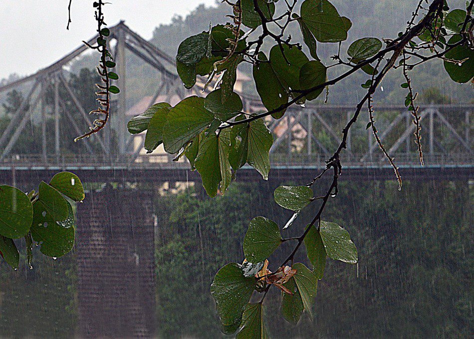 Foto: Eraldo Schnaider / Prefeitura de Blumenau 