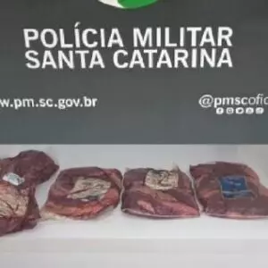 Imagem: Polícia Civil / Reprodução