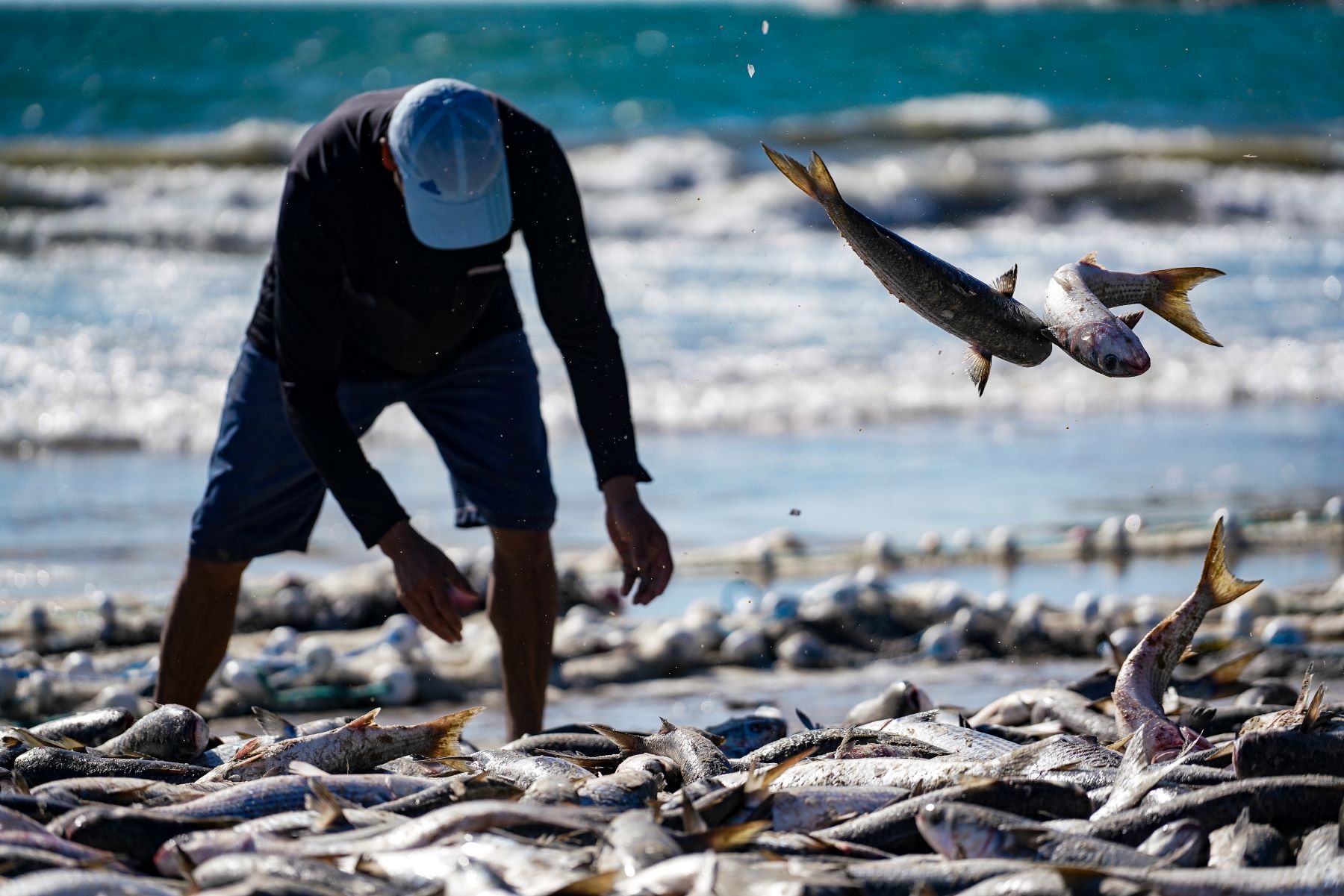 Foto: Ricardo Wolffenbüttel/SECOM