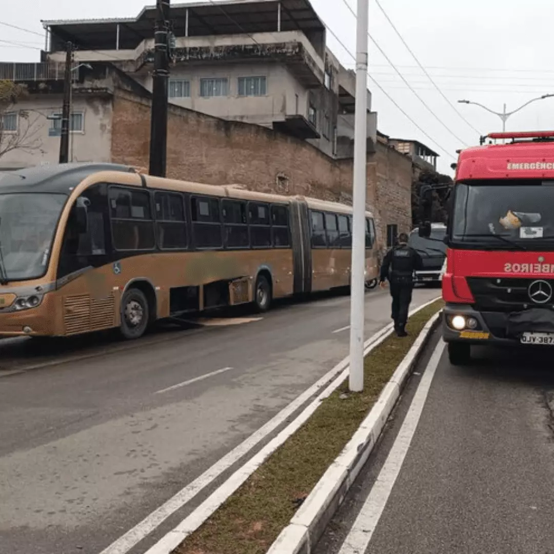 Foto: Guarda municipal Ricardo Pastrana/Reprodução