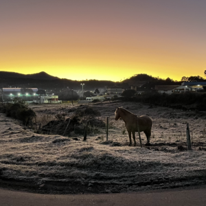 Foto: Elcio Branco F./Prefeitura Municipal de Urupema