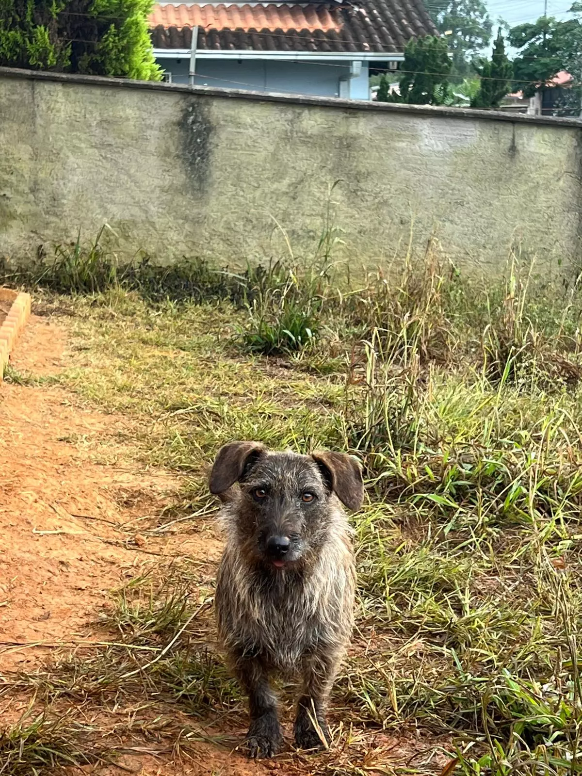 Foto: Polícia Civil de Santa Catarina