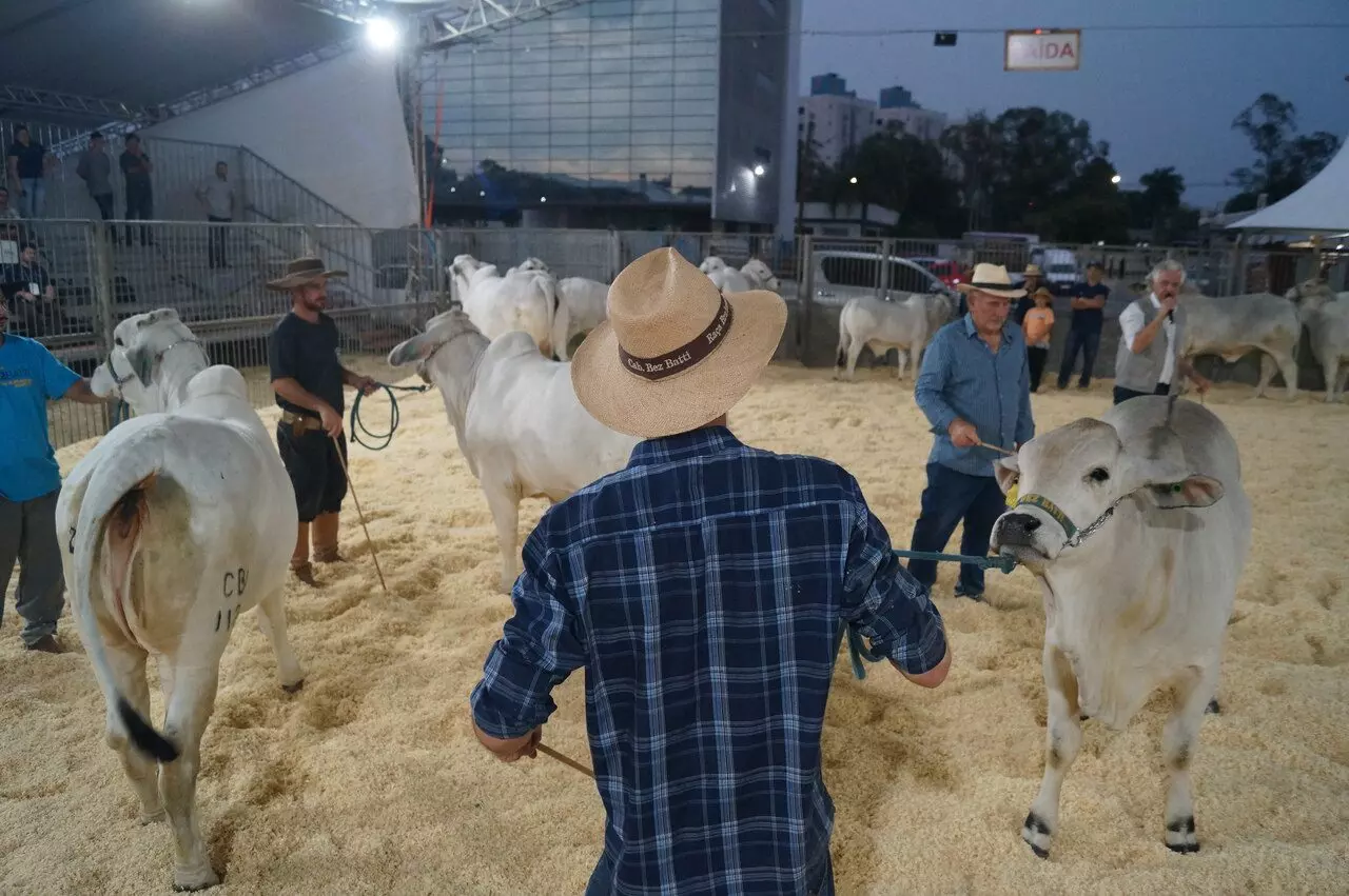 Agroponte 2024: A maior feira de agronegócio de SC abre as portas em Criciúma | Foto: Agroponte/Divulgação.