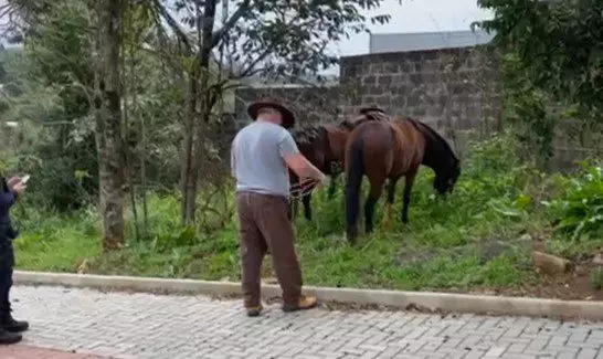 Imagem: Prefeitura de Chapecó / Reprodução