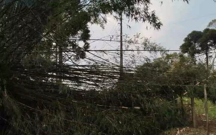 Problemas com queimadas causam apagão em municípios da Serra Catarinense. | Foto: divulgação