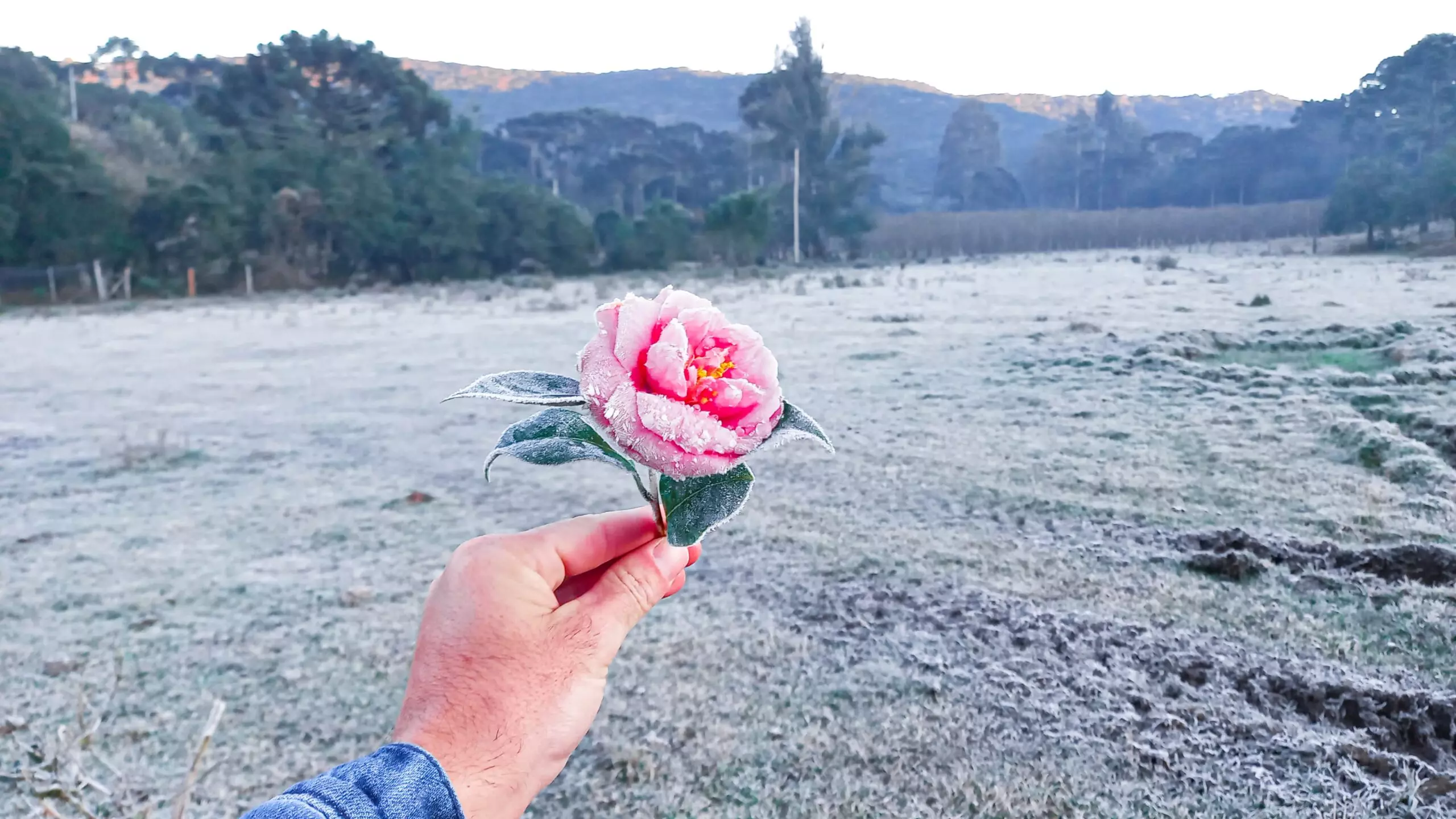 Amanhecer em Bom Jardim da Serra. | Foto: Sérgio Felipe