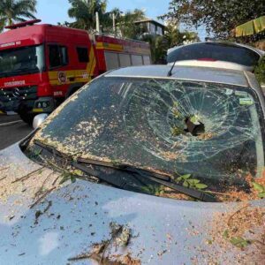 Imagem: Corpo de bombeiros