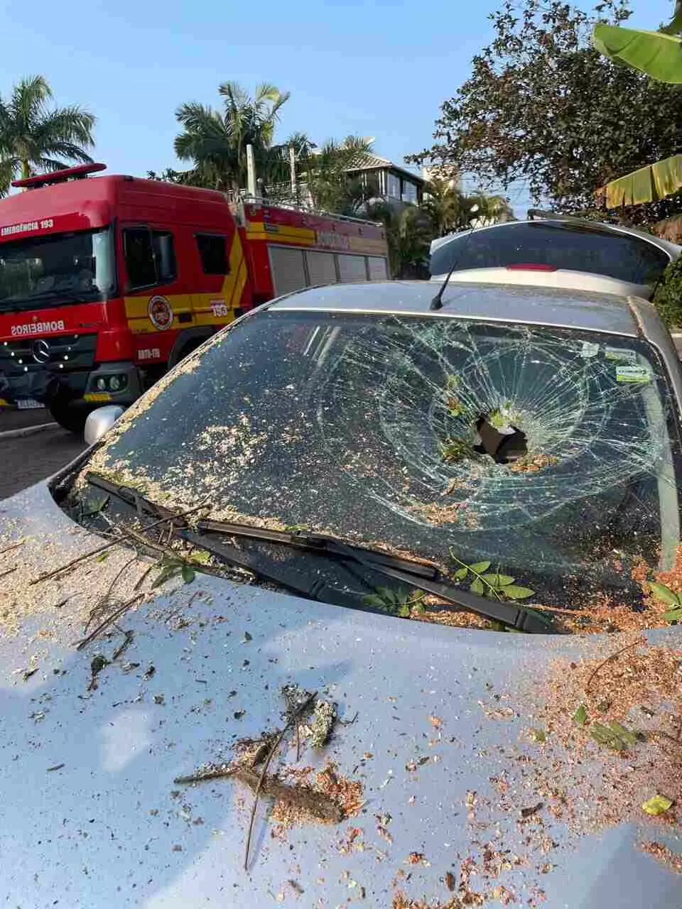 Imagem: Corpo de bombeiros