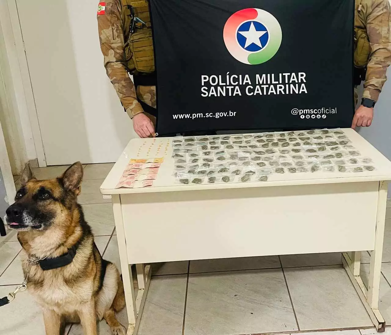 Imagem: Polícia Militar de Chapecó