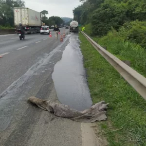 Carreta derrama óleo diesel e causa filas na BR-101 em Joinville