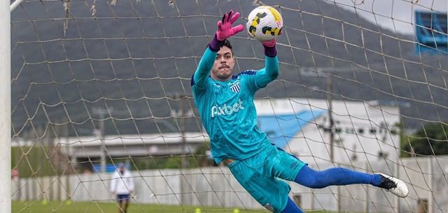 Goleiro João Vítor retorna ao Avaí após empréstimos em 2024 | Foto: Leandro Boeira / Avaí FC