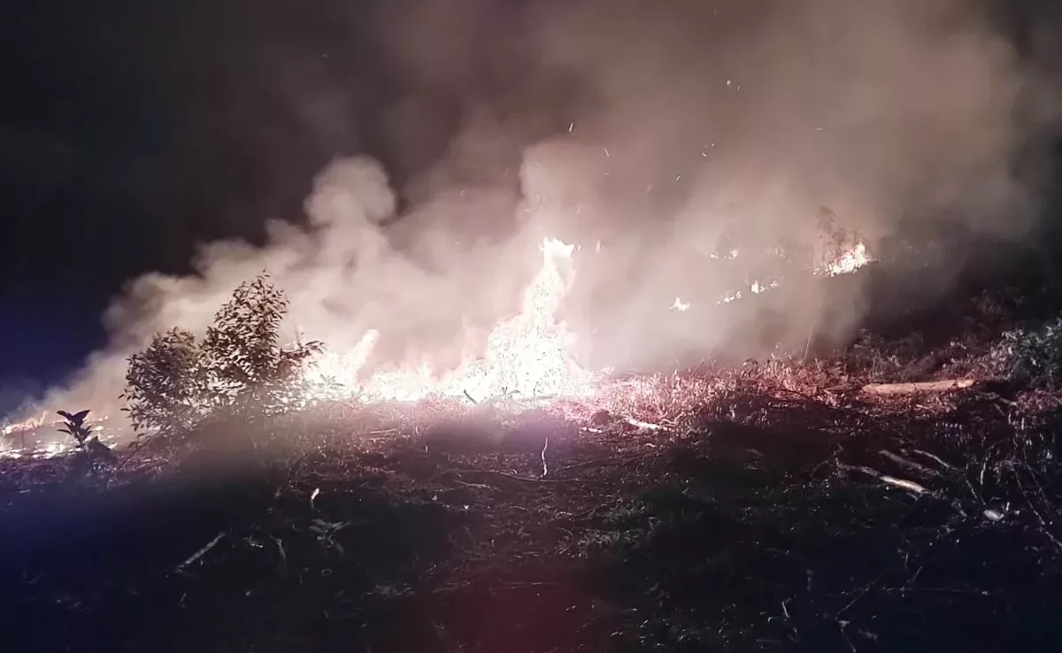 Imagem: Corpo de Bombeiros/Reprodução