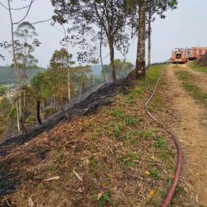 Incêndio destrói área do Parque Municipal de Guabiruba