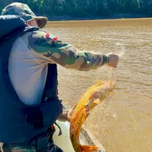 Pesca proibida na Serra: saiba o que é o Defeso da Piracema