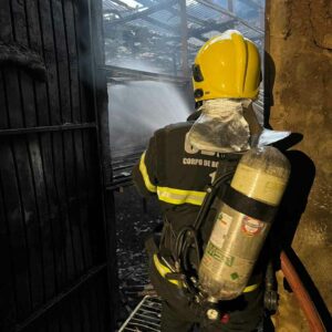 Imagem: Corpo de bombeiros