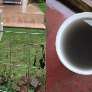 Chuva preta registrada no município de Anita Garibaldi | Foto: reprodução redes sociais 