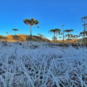 Campos branquinhos de gelo no Vale do Caminhos da Neve | Foto: Mycchel Legnaghi