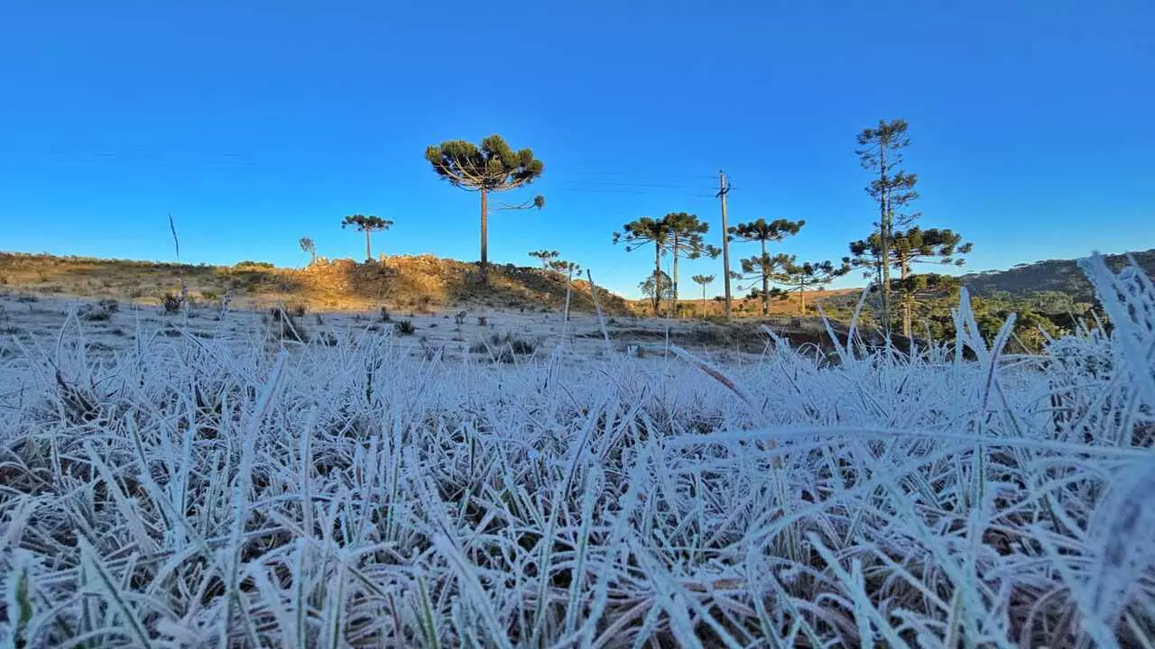 Campos branquinhos de gelo no Vale do Caminhos da Neve | Foto: Mycchel Legnaghi