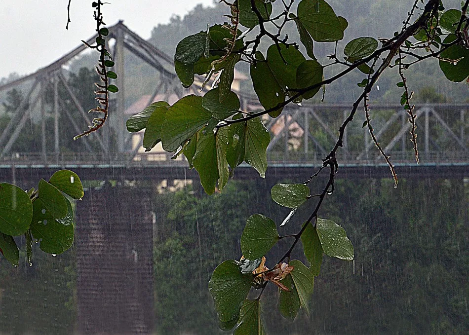 Foto: Eraldo Schnaider/Prefeitura de Blumenau.