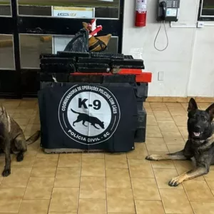 Cães farejadores encontram 26 kg de maconha em ônibus em SC