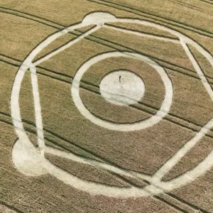 Marcas misteriosas em plantações intrigam moradores de SC | Imagem: Fábio Wilcke / Reprodução