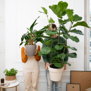 Plantas no apartamento: conheça o 'urban jungle' estilo que une beleza e natureza