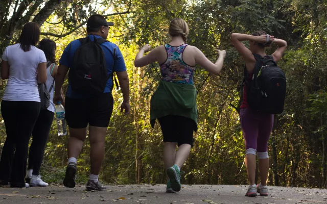 Personal trainer explicou se caminhada emagrece. – Foto: Canva/Reprodução