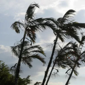 Ventos de até 50 km/h atingem o Sul do Brasil; veja previsão | Foto: reprodução