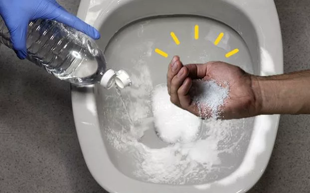 Veja por que deve colocar sal grosso no vaso sanitário todas as noites | Imagem: Shutterstock