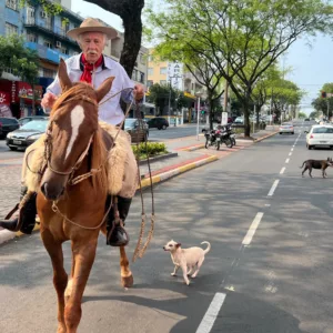 Idoso vai votar a cavalo em SC; veja vídeo | Foto: Bruno Reinehr/ClicRDC